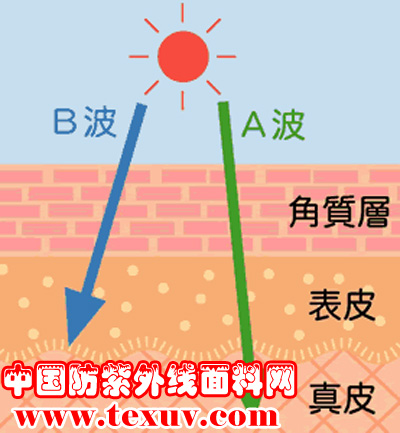 紫外线概述, 紫外线的分类及其对人体的作用, 紫外线作用的双重性